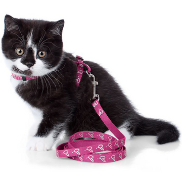 Hunter Laura Harness with Leash for Cats & Kittens (Pink)