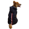 Petsnugs 100% Waterproof Raincoat for Dogs and Cats (Navy Blue) Both-Clothing & Accessories Petsnugs Dropship XS