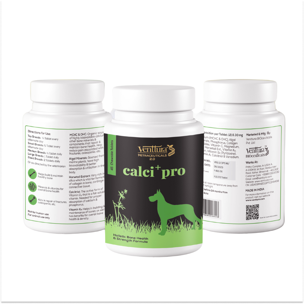 Best calcium supplement for dogs online