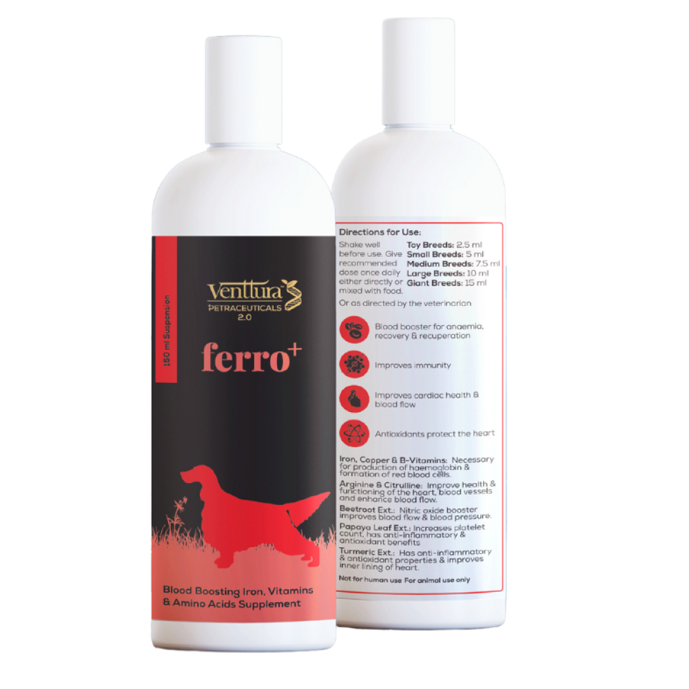 Buy Venttura Ferro Plus Iron Supplements Syrup for Dogs Online Supertails