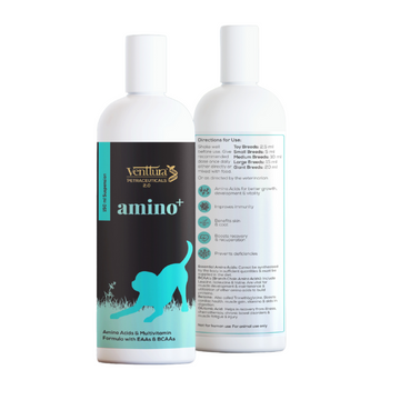 Venttura Amino Plus Syrup for Dogs