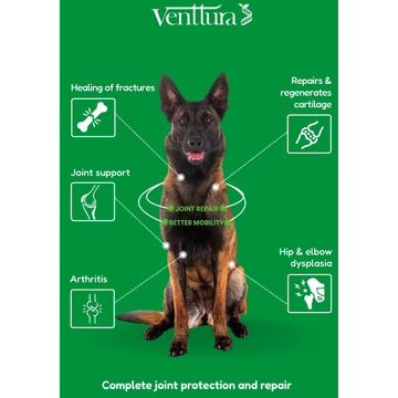 Venttura Inhancer Hip & Joint Soft Nuggets Supplements for Dogs