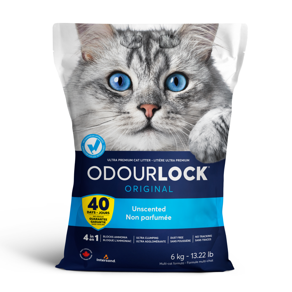 Intersand Unscented Odour Lock Cat Litter Cats-Litter Intersand 6kg