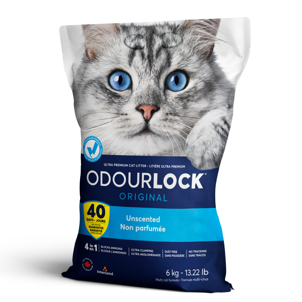 Buy Intersand Unscented Odour Lock Cat Litter Online Supertails