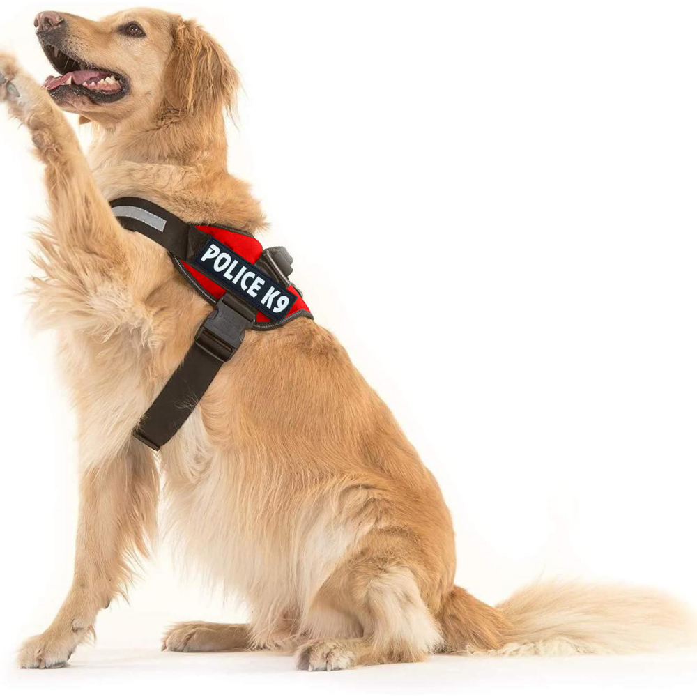 Chullbull K9 Police Buckle Harness for Dogs (Red) Dogs-Collar, Leashes, harnesses Chullbull Dropship