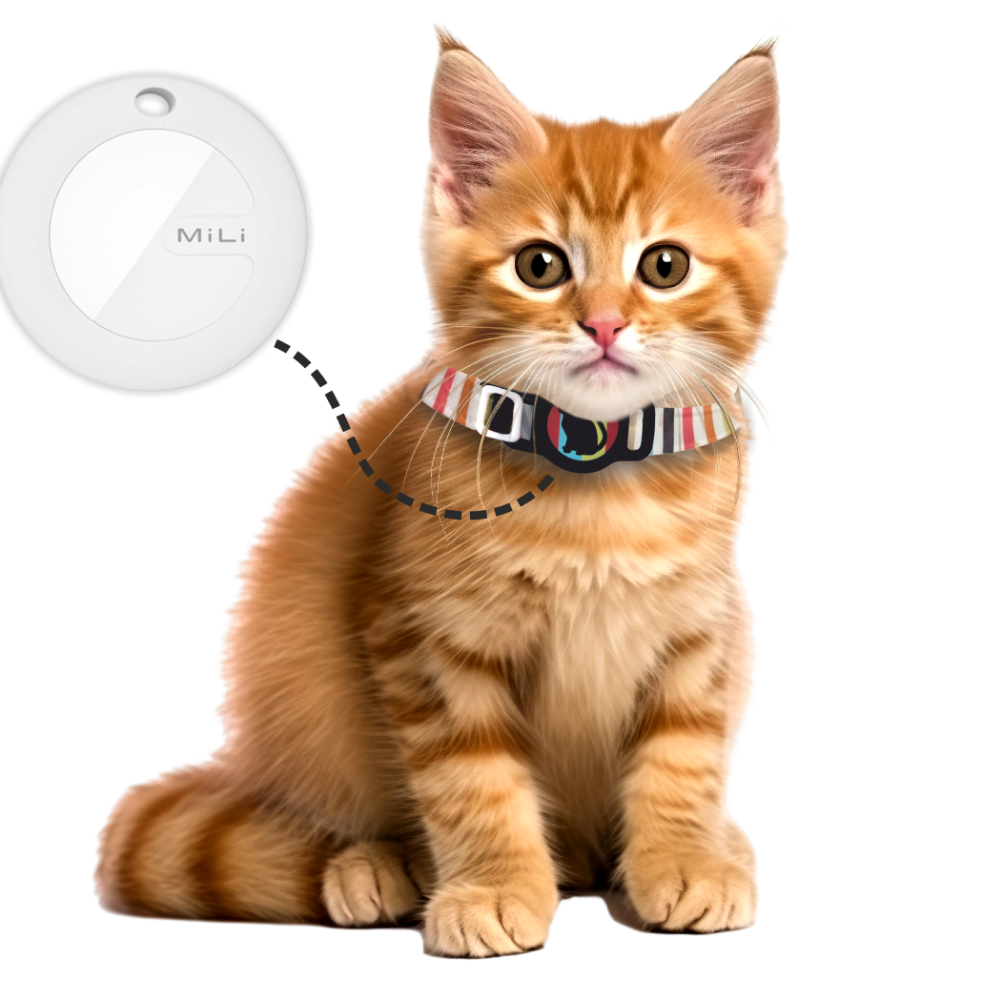 Mitag Anti Loss Device with Collar for Cats (Black) | IOS Cats-Collar, Leashes, harnesses Mitag Dropship