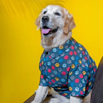 15buttons Pawsome Shirt for Dogs