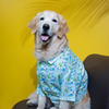 15buttons Jungle Gym Shirt for Dogs Dogs-Clothing & Accessories 15buttons Dropship