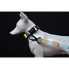 Glucklich Heavy Duty Printed Leash for Dogs (Cadillac)