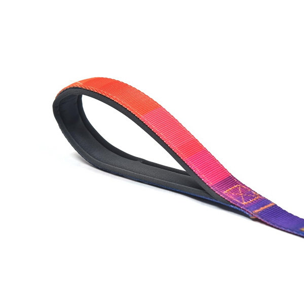 Glucklich Heavy Duty Printed Leash for Dogs (Dark Night)