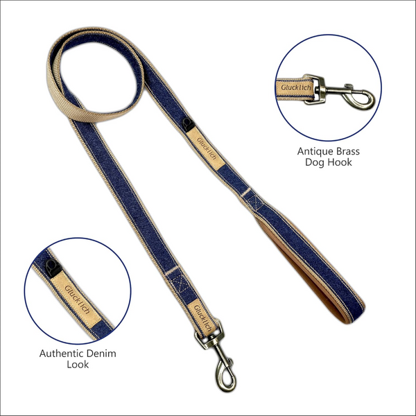 Glucklich Heavy Duty Printed Leash for Dogs (Dark Blue)