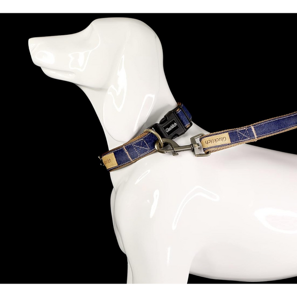 Glucklich Heavy Duty Printed Leash for Dogs (Dark Blue)