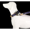 Glucklich Heavy Duty Printed Leash for Dogs (Dark Blue)
