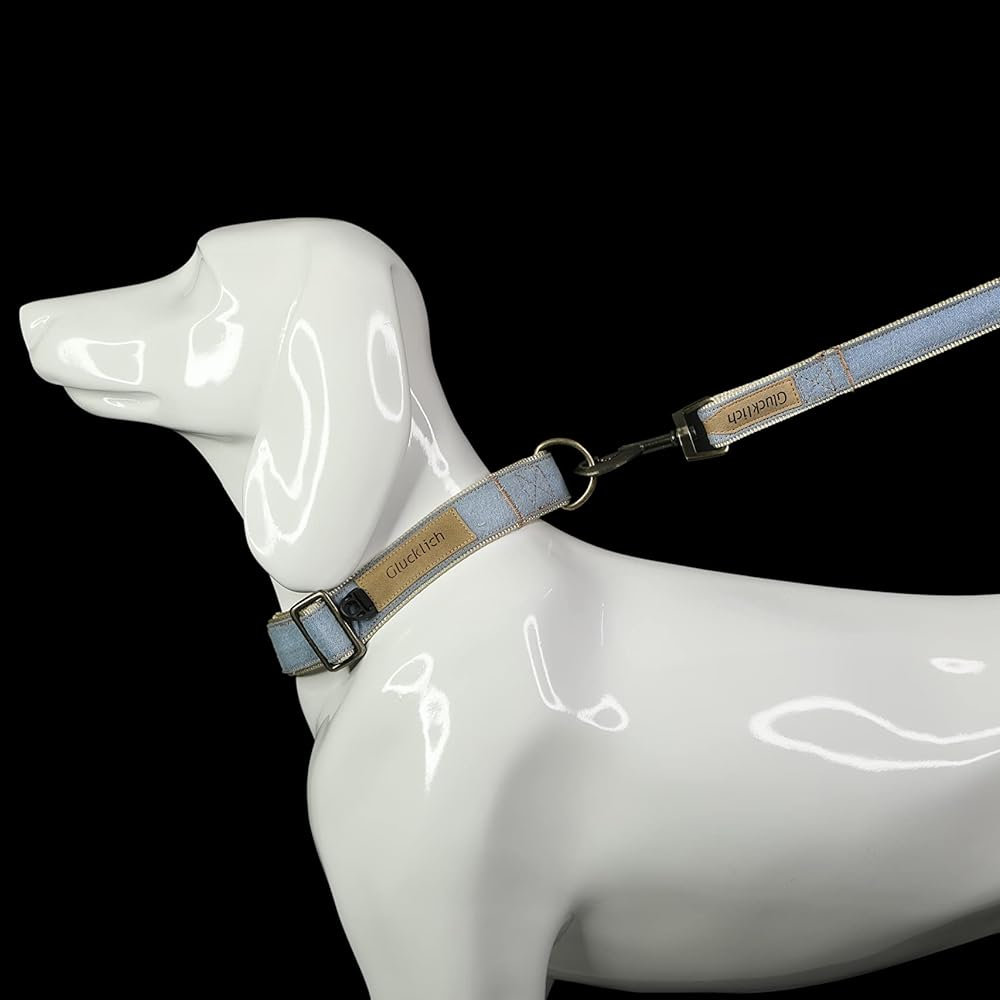 Glucklich Heavy Duty Printed Leash for Dogs (Light Blue)