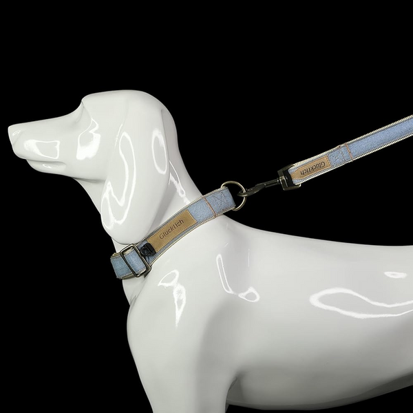 Glucklich Heavy Duty Printed Leash for Dogs (Light Blue)