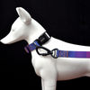Glucklich Polyester Printed Adjustable Collar for Dogs (Dark Night)