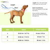 Tails to Tell Polyester Collar for Dogs (Yellow) Dogs-Collar, Leashes, harnesses Tails to Tell Dropship