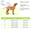 Glucklich Martingale Printed Adjustable Collar for Dogs (Green Forest)