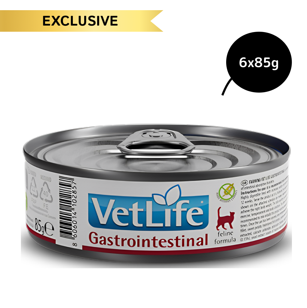Farmina Vet Life Gastrointestinal Feline Formula Cat Wet Food
