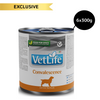 Farmina Vet Life Convalescence Canine Formula Dog Wet Food Dogs-Wet Food Farmina Vet Life 6x300g
