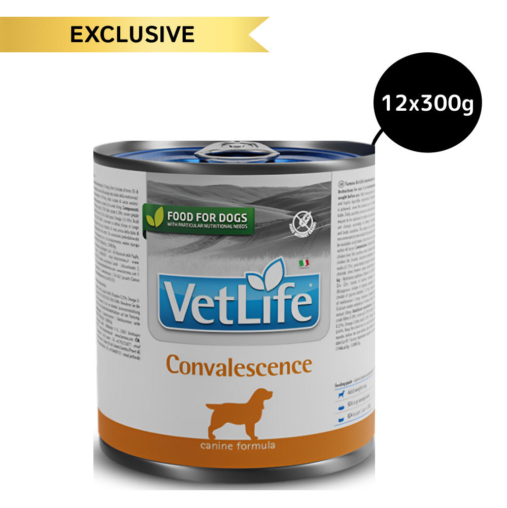 Farmina Vet Life Convalescence Canine Formula Dog Wet Food