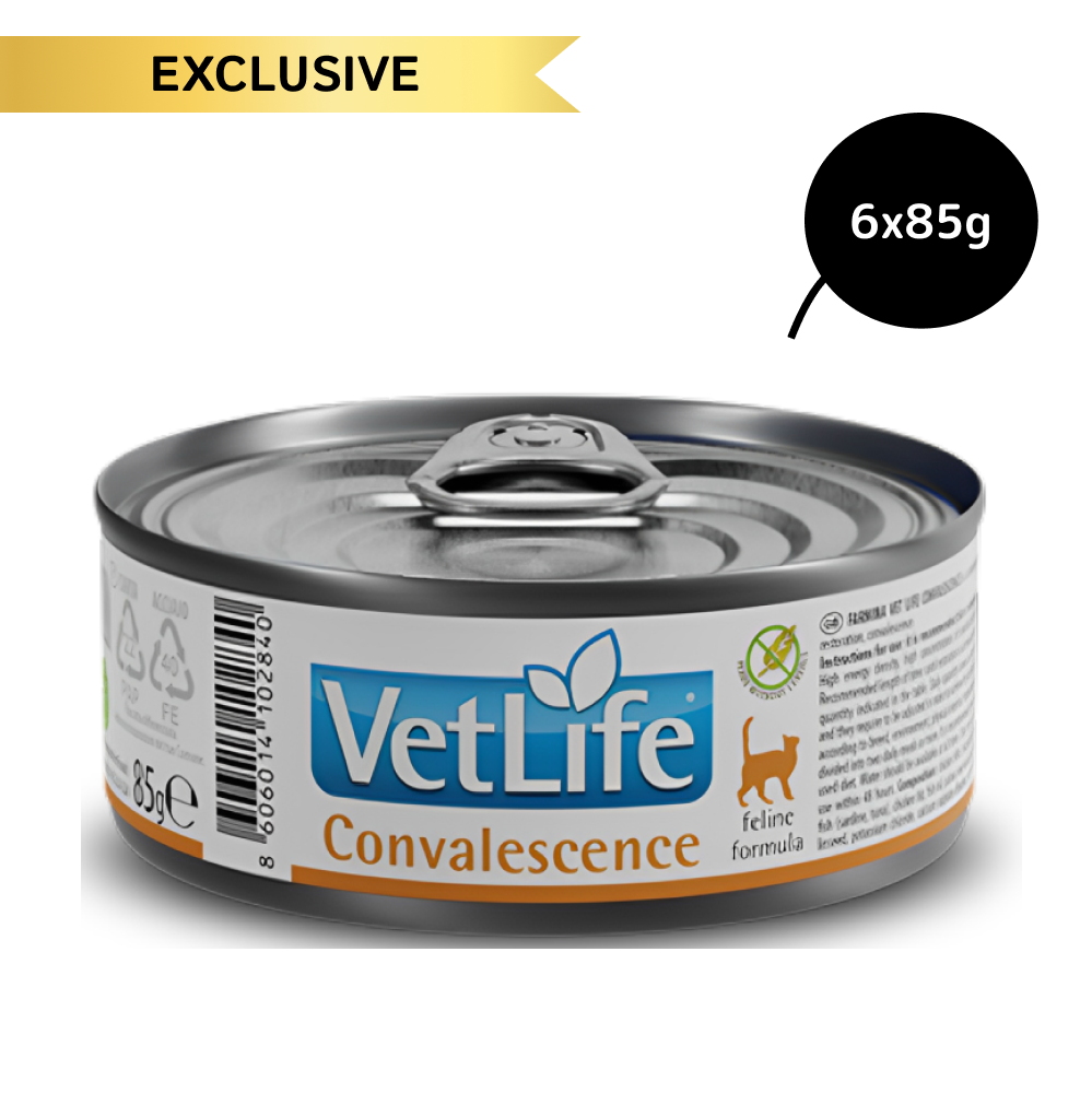 Farmina Vet Life Convalescence Feline Formula Cat Wet Food