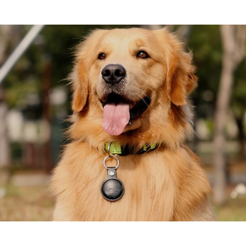 Mitag Anti Loss Device with Keychain for Dogs and Cats (Black) | IOS Both-Collar, Leashes, harnesses Mitag Dropship