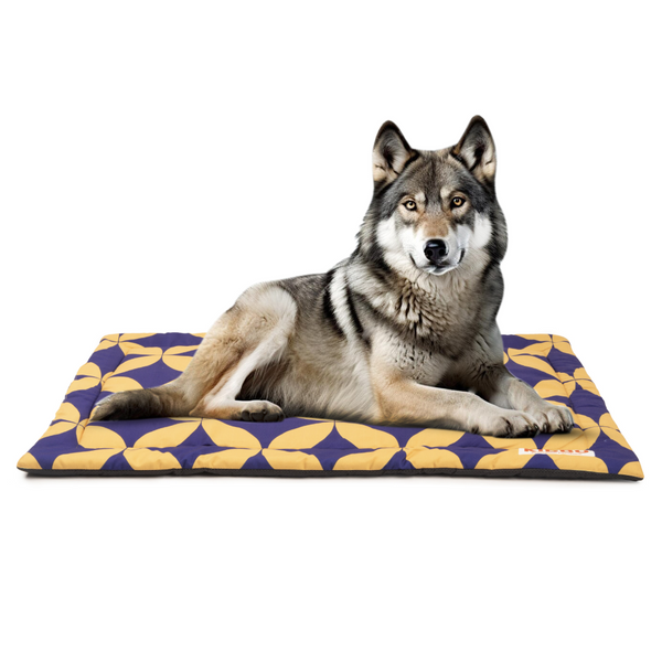 Kibbo Lightweight and Portable Mats for Dogs and Cats (Yellow & Purple)