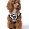 The Happy Lots Pet Halloween Tshirt for Dogs Dogs-Clothing & Accessories The Happy Lots Dropship