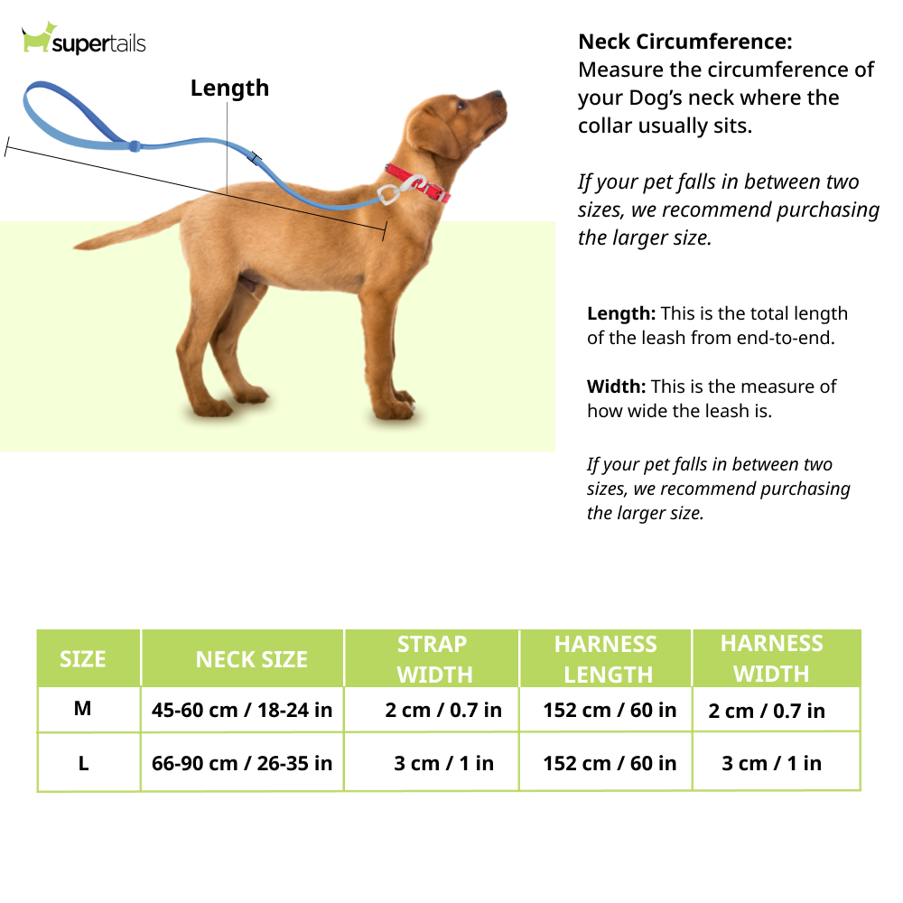 Chullbull Pet Products Harness and Leash for Dogs (Blue) Dogs-Collar, Leashes, harnesses Chullbull Dropship