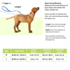 Chullbull Pet Products Harness and Leash for Dogs (Red) Dogs-Collar, Leashes, harnesses Chullbull Dropship