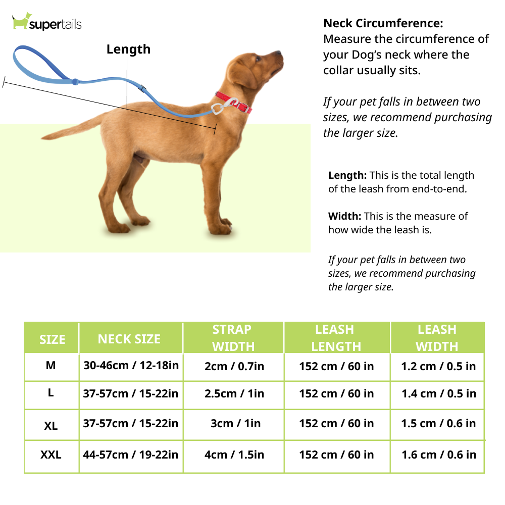 Chullbull Nylon Collar and Heavy Chain Leash for Dogs (Red) Dogs-Collar, Leashes, harnesses Chullbull Dropship