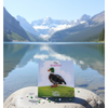 Furry Tales Mr. Waddle Duck Handcrafted Brooch Pet Parent-Gifting & Merch Furry Tales Dropship 2x2.5in