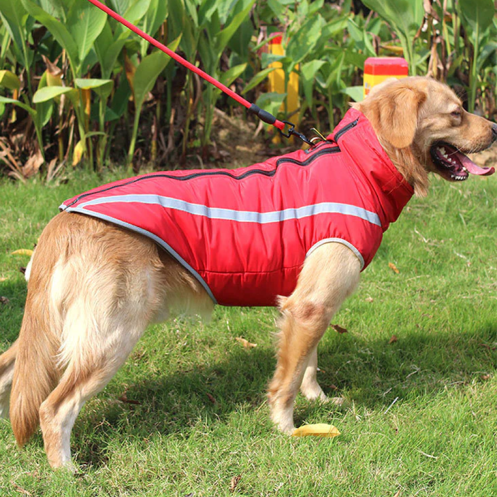A Plus A Pets Luxurious Rain & Wind Protector Jacket for Dogs (Red)