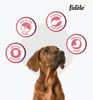 Fidele Plus Small and Medium Puppy Dry Food Dogs- Dry Food Fidele
