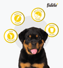 Fidele Plus Large Puppy Dry Food Dogs- Dry Food Fidele