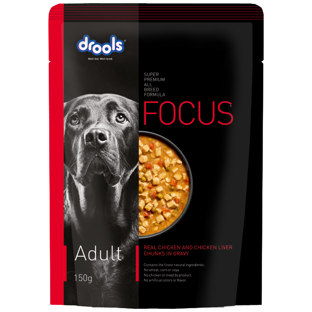 Drools Focus Super Premium Adult Dry Dog Food and Real Chicken & Chicken Liver Chunks in Gravy Adult Dog Wet Food Combo