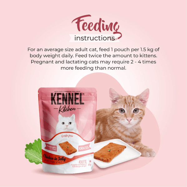 Kennel Kitchen Tuna in Jelly and Chicken in Jelly Kitten & Adult Cat Wet Food (All Life Stage) Combo