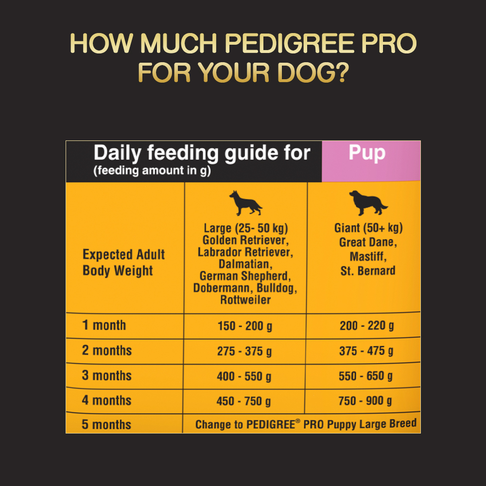 Pedigree PRO Expert Nutrition Lactating/Pregnant Mother & Puppy Starter Large Breed Dog Dry and Chicken Chunks in Gravy Puppy Wet Food Combo