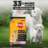 Pedigree PRO Expert Nutrition Lactating/Pregnant Mother & Puppy Starter Large Breed Dog Dry and Chicken Chunks in Gravy Puppy Wet Food Combo Exclusive Combo Pedigree PRO