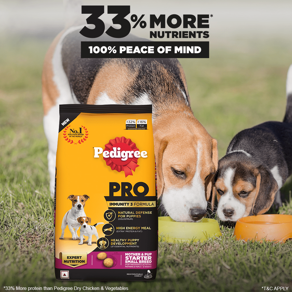 Pedigree PRO Expert Nutrition Lactating/Pregnant Mother & Puppy Starter (3 to 12 Weeks) Small Breed Dog Dry Food (Limited Shelf Life)