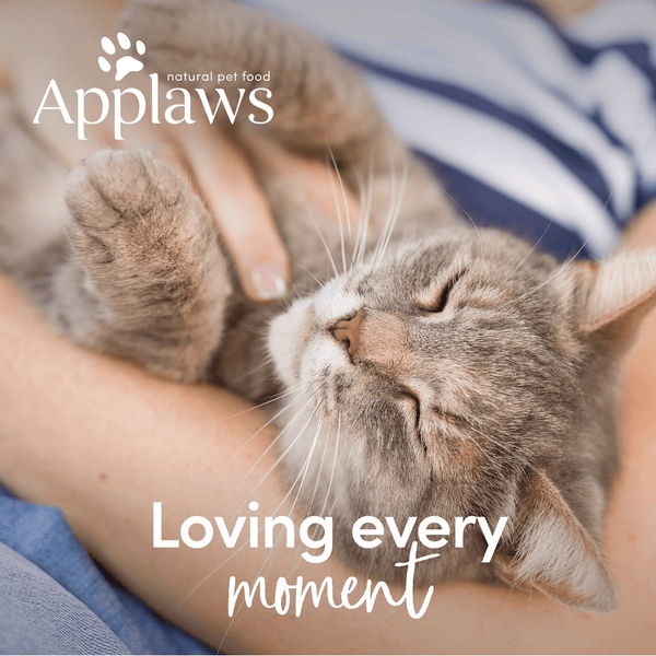 Applaws Tuna Fillet and Prawns Tinned Cat Wet Food (156g)