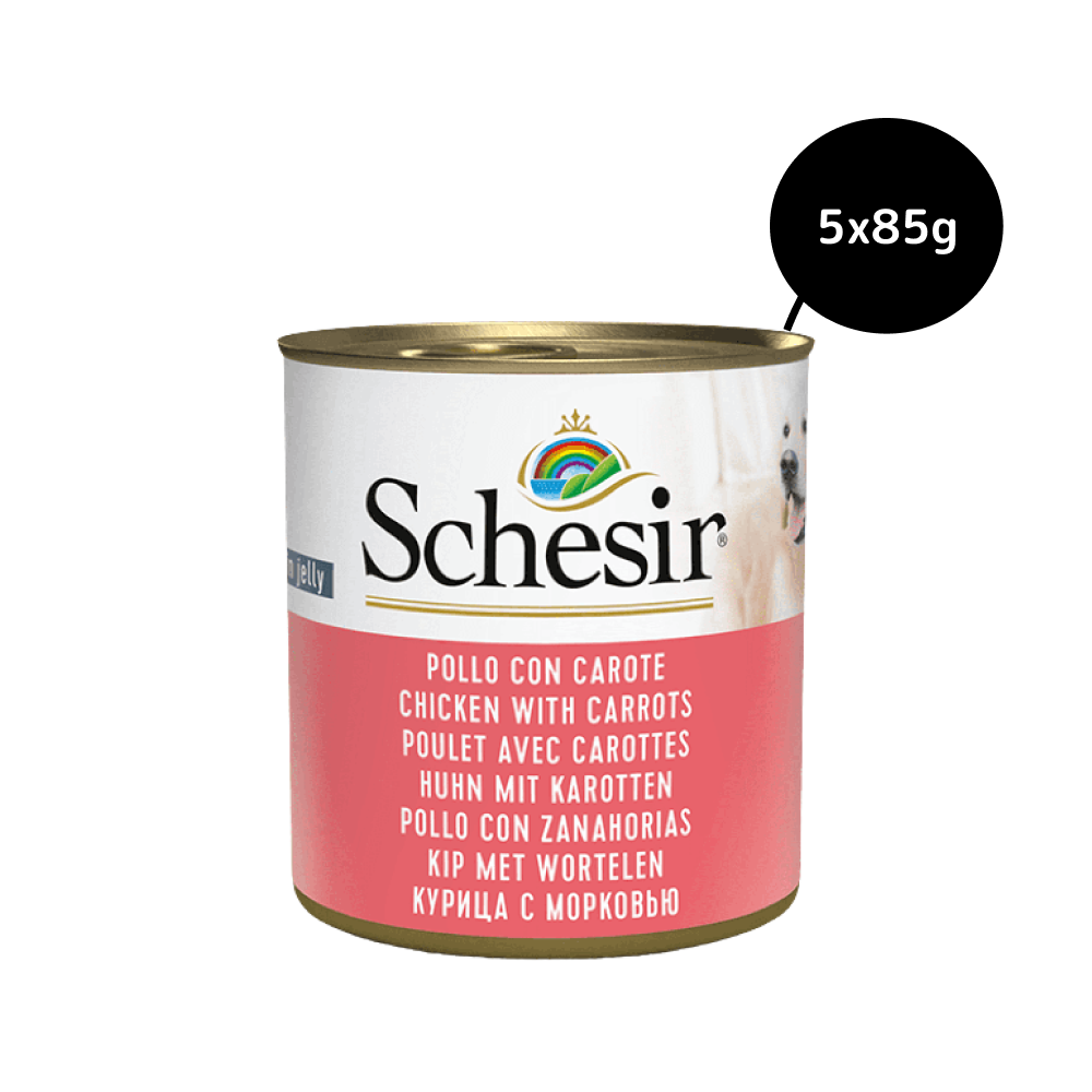 Schesir Chicken and Rice with Carrot in Jelly Dog Wet Food
