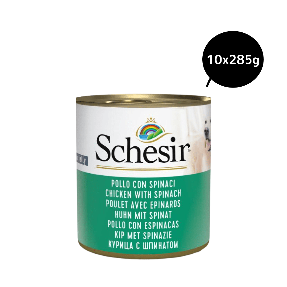Schesir Chicken and Rice with Spinach in Jelly Dog Wet Food
