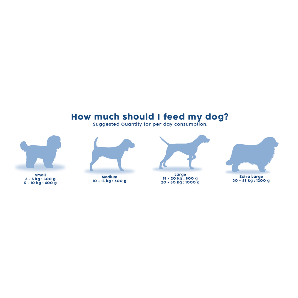 Benny's Bowl Clinical Nutrition for Gastrointestinal Issues Dog Wet Food Dogs-Fresh Food Bennys Bowl