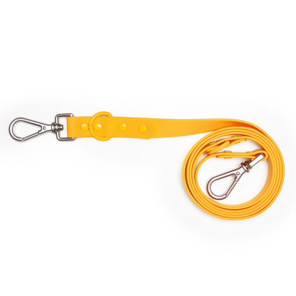 Furry & Co Bold Harness and Leash for Dogs Combo (Mango) - L