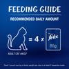 Purina Felix Salmon with Jelly Adult Cat Wet Food Cats-Wet Food Felix