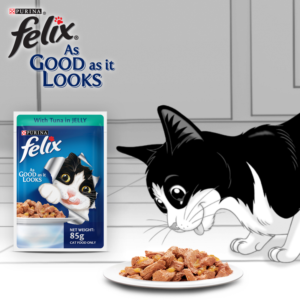 Friskies Seafood Cat Dry Food and Purina Felix Tuna with Jelly Adult Cat Wet Food Combo