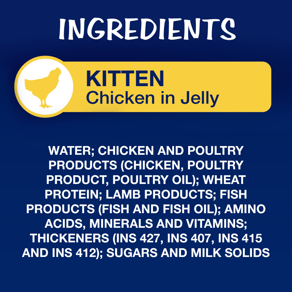 Purina Felix Chicken with Jelly Kitten Wet Food Cats-Wet Food Felix