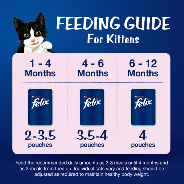 Purina Felix Chicken with Jelly Kitten Wet Food